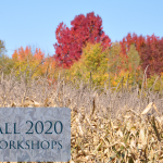 Fall 2020 workshops now available !