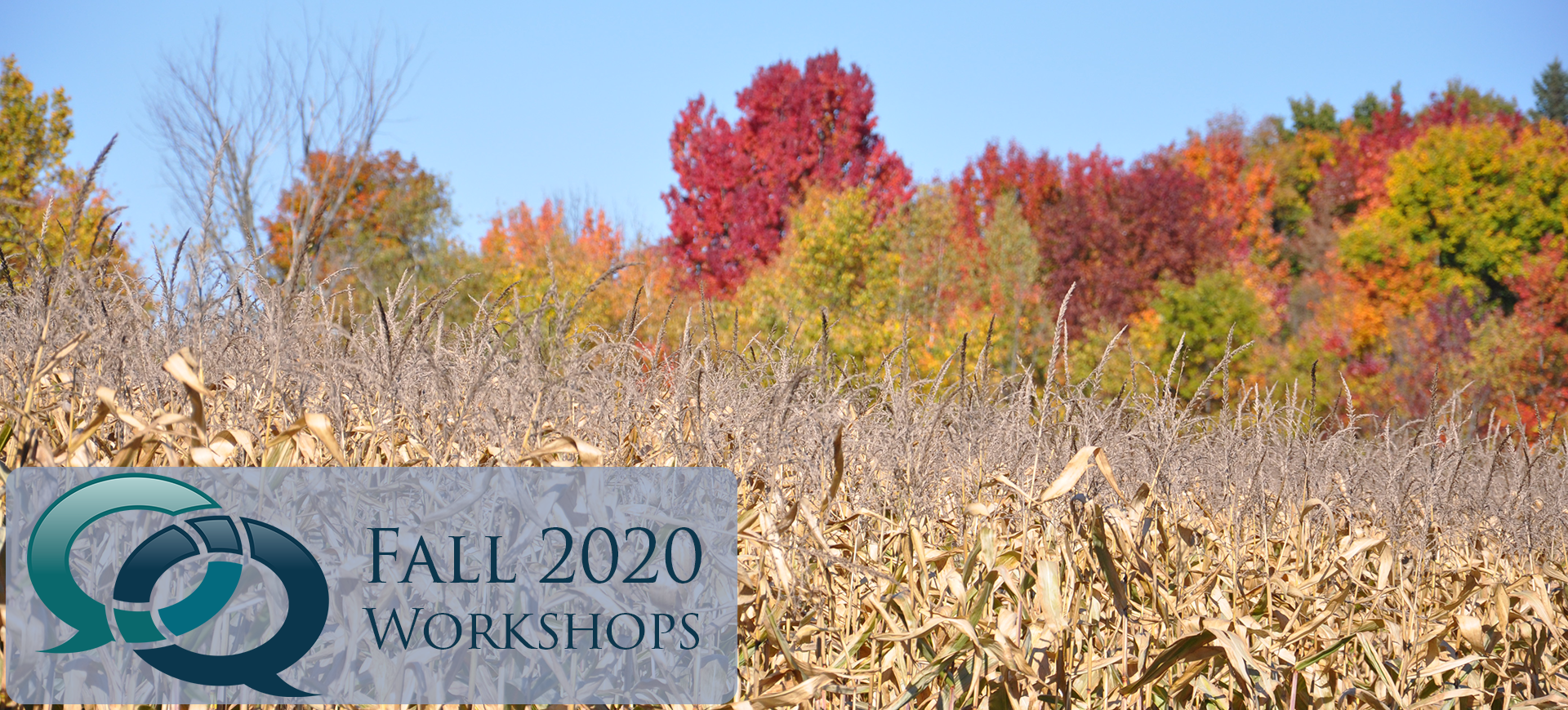 Fall 2020 workshops now available !